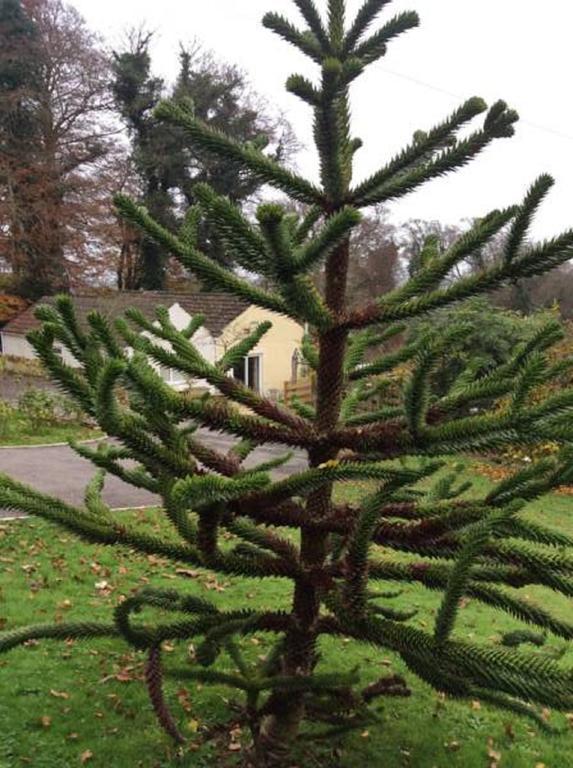 Freshford Longacre B&B 외부 사진